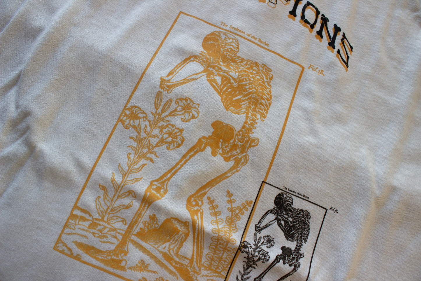 Champions Of The Abyss