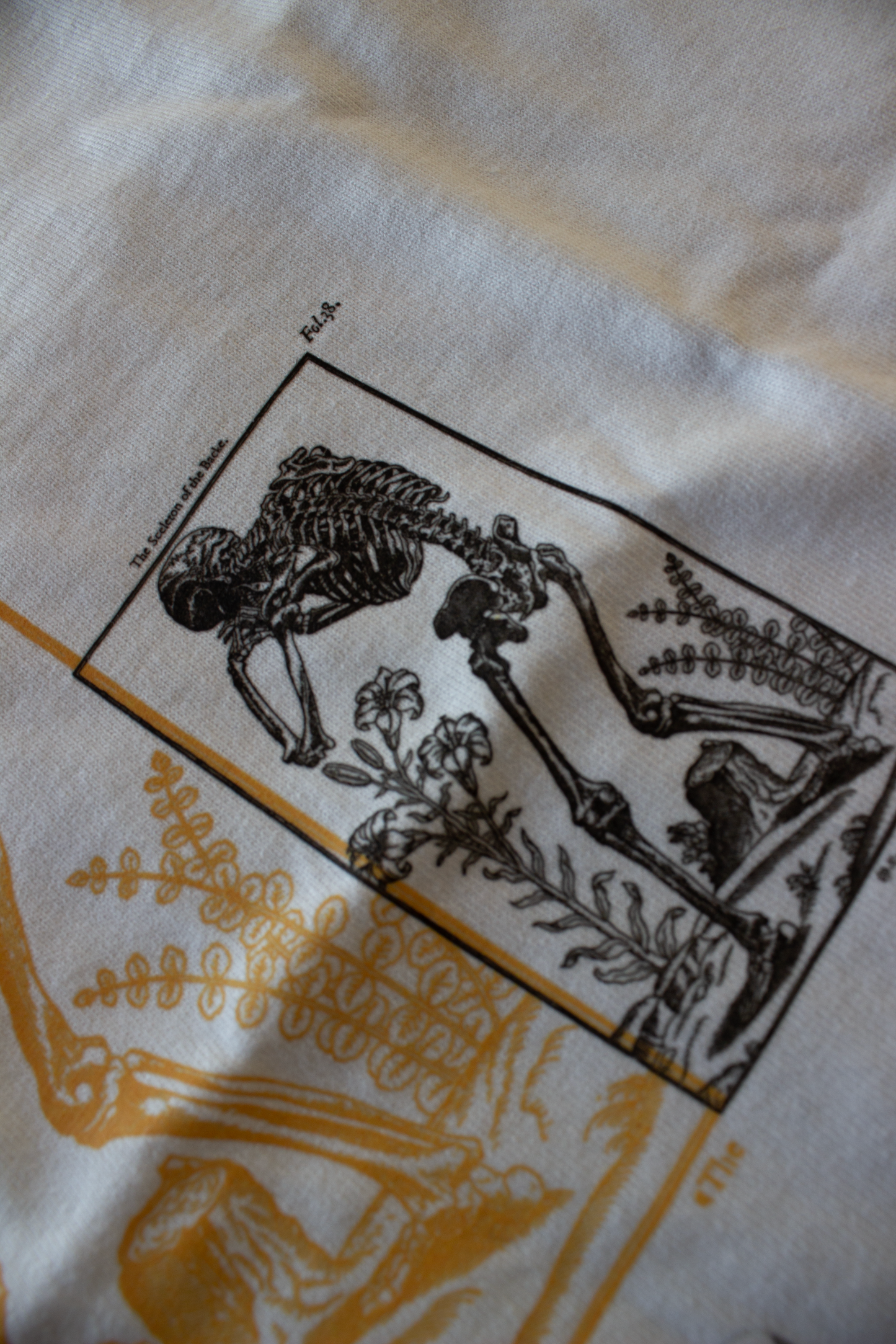 Champions Of The Abyss